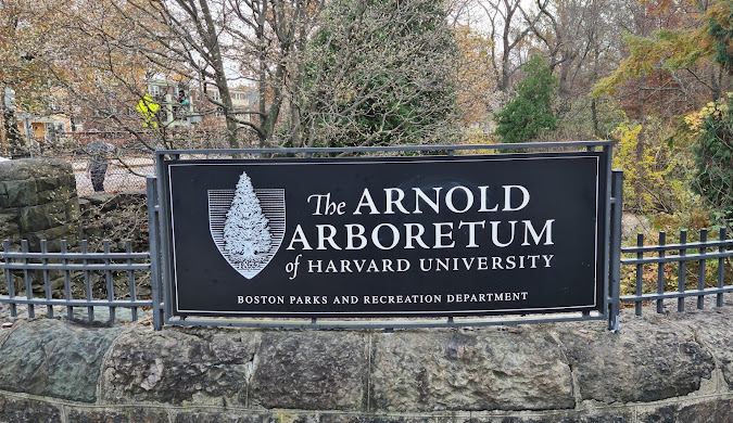 Arnold Arboretum of Harvard University under a clear sky in Jamaica Plain, Boston, MA 02130