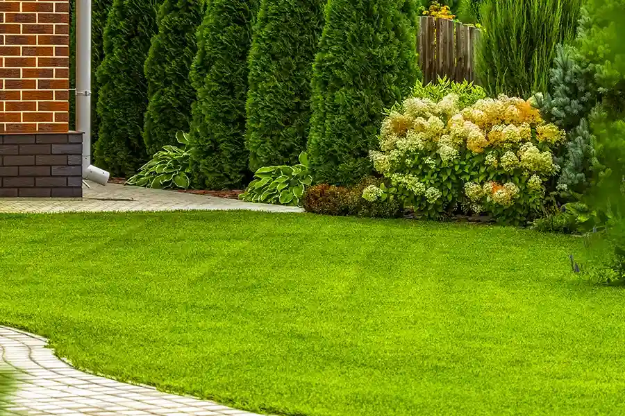 Excellent Lawn Care Service Watertown, MA
