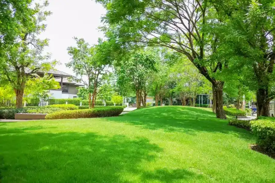 How Lawn Maintenance Prevents Weed Growth And Soil Erosion Hyde Park, Boston, MA 02136