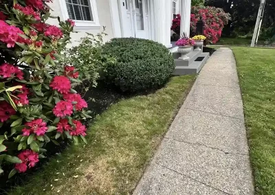 Landscape Contractor