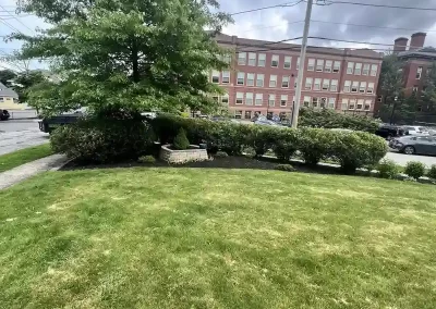 Landscaping Contractor