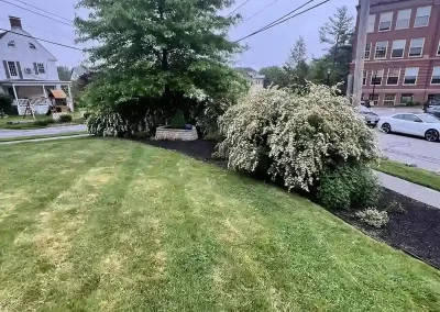 Landscaping Services