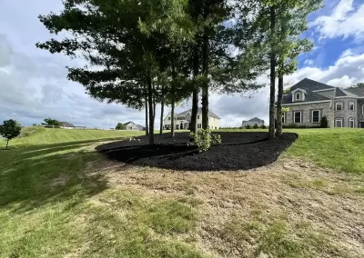 Landscaping Services