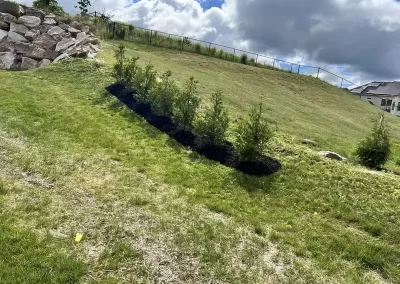 Landscaping Services