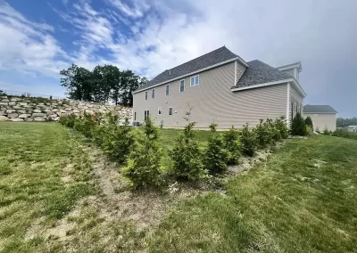 Landscaping Services