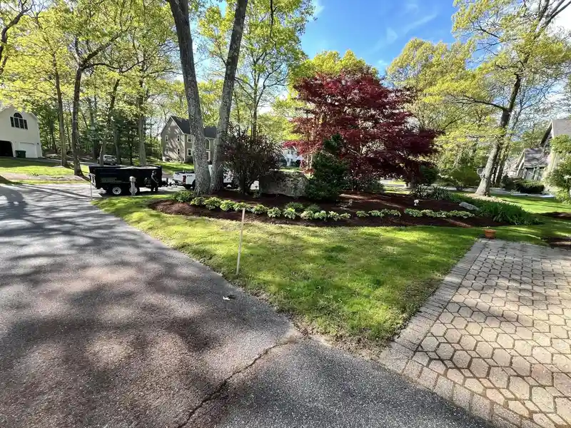 Landscaping