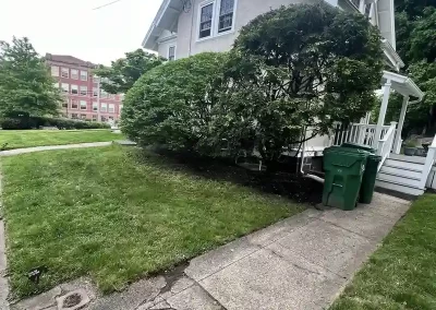 Landscaping Services