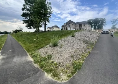 Landscaping Services