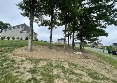 Landscaping Services