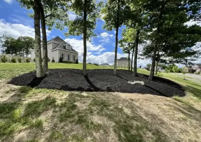 Landscaping Services