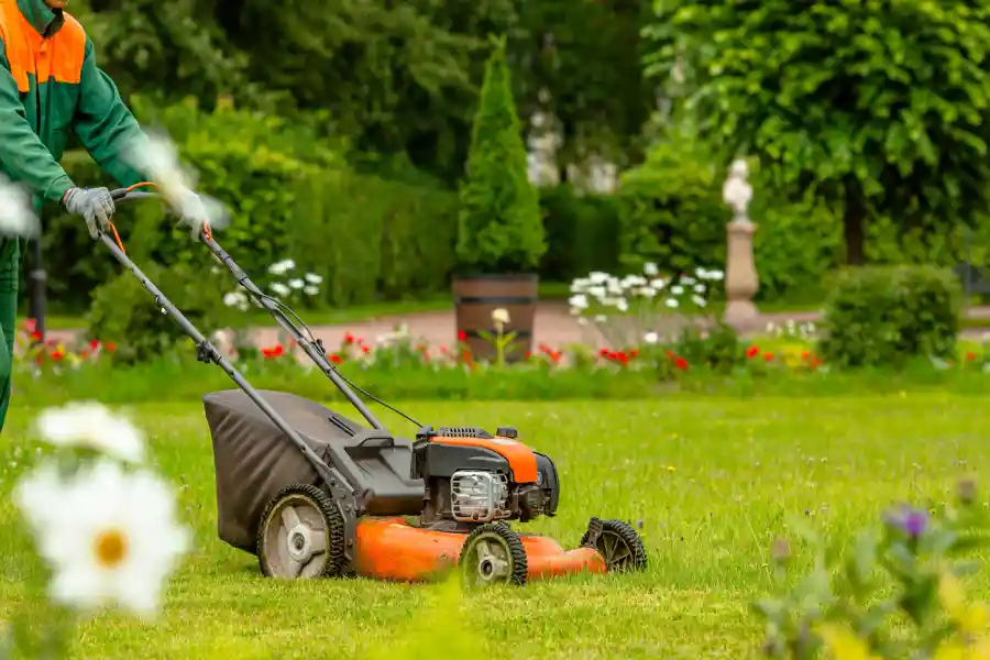 Lawn Maintenance