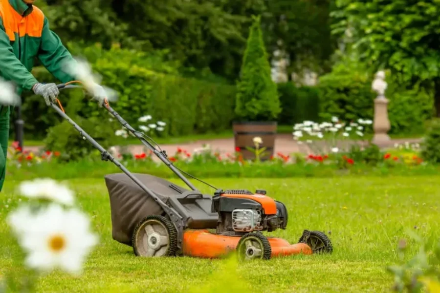 Professional Lawn Maintenance Watertown, MA Professional Lawn Maintenance Watertown, MA