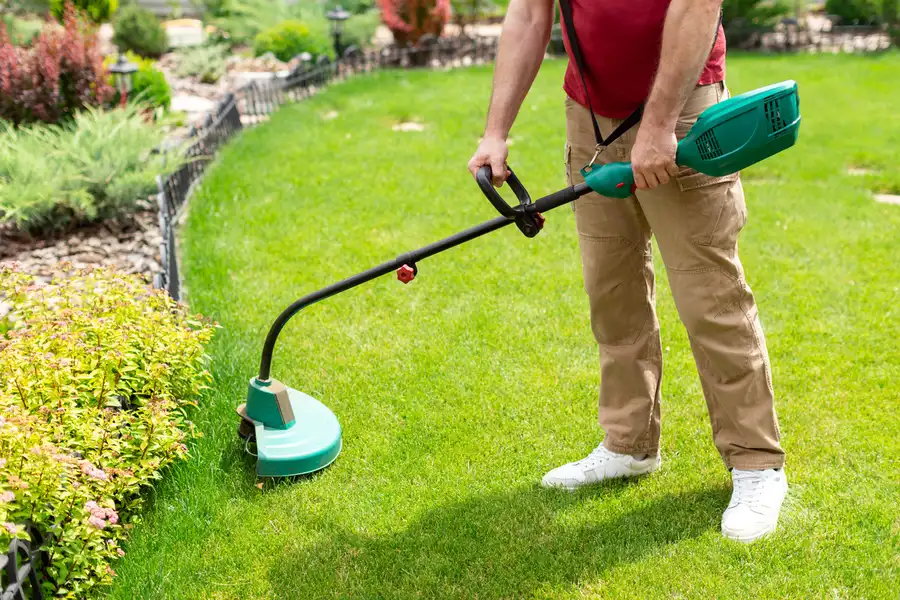 Reputable Lawn Care Service Watertown, MA