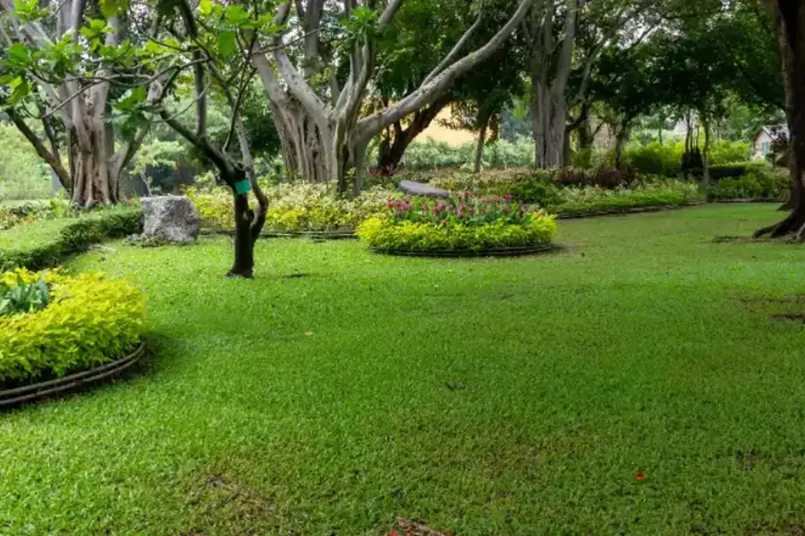 Seasonal Tips For Effective Lawn Maintenance Practices Watertown, MA