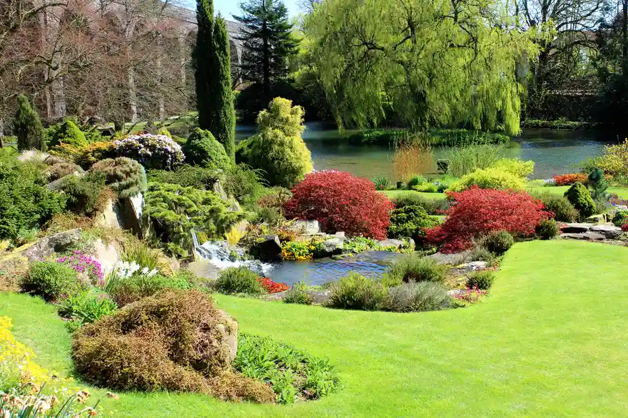 Understanding Soil Health For A Flourishing Garden Roslindale, Boston, MA 02131 Understanding Soil Health For A Flourishing Garden Roslindale, Boston, MA 02131