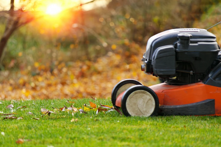 Understanding The Role Of Lawn Care Services In Landscape Beauty in West Roxbury, Boston, MA 02132