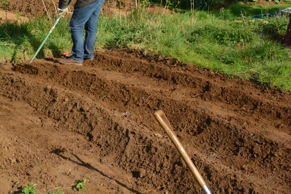 Common Mulching Mistakes Landscapers Should Avoid in Hyde Park Boston MA 02135