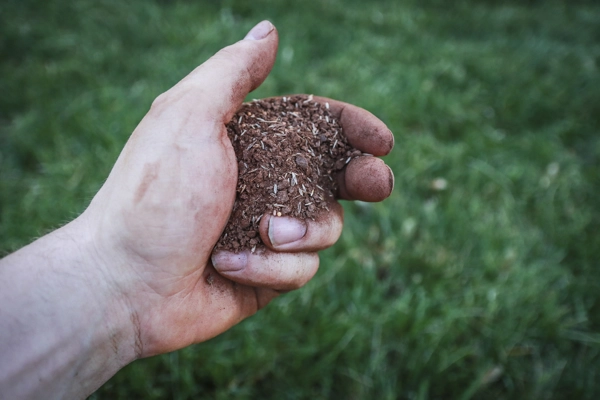 Common Mulching Mistakes Landscapers Should Avoid in Hyde Park Boston MA 02135