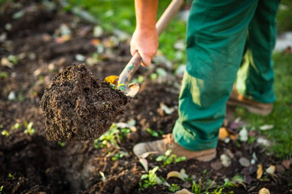 The Benefits of Mulching for Slope and Erosion Control in Watertown, MA